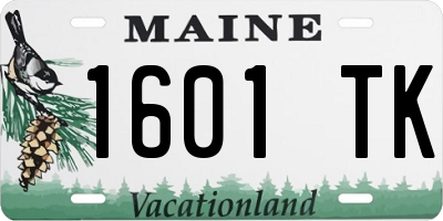 ME license plate 1601TK