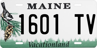 ME license plate 1601TV