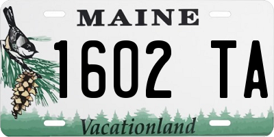 ME license plate 1602TA