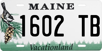ME license plate 1602TB