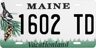 ME license plate 1602TD