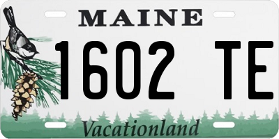 ME license plate 1602TE