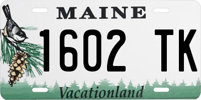 ME license plate 1602TK