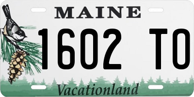 ME license plate 1602TO