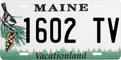 ME license plate 1602TV