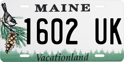 ME license plate 1602UK