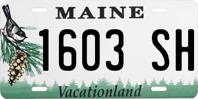 ME license plate 1603SH