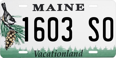 ME license plate 1603SO