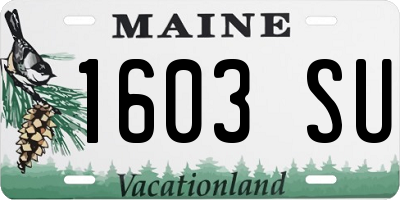ME license plate 1603SU