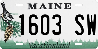 ME license plate 1603SW