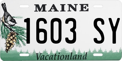 ME license plate 1603SY