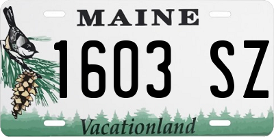 ME license plate 1603SZ
