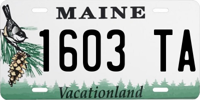 ME license plate 1603TA