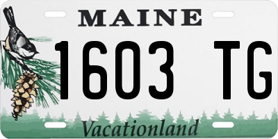 ME license plate 1603TG
