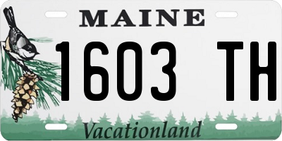ME license plate 1603TH