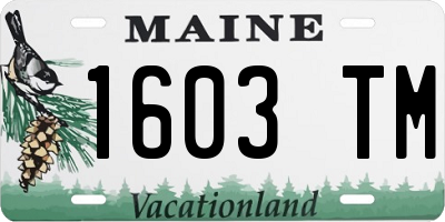 ME license plate 1603TM