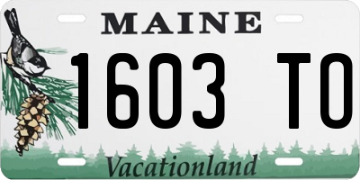 ME license plate 1603TO