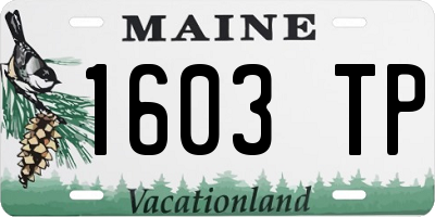 ME license plate 1603TP