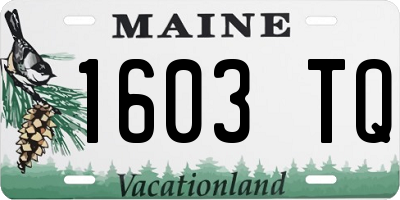 ME license plate 1603TQ