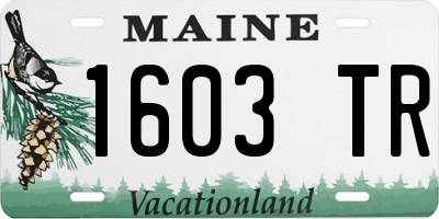 ME license plate 1603TR