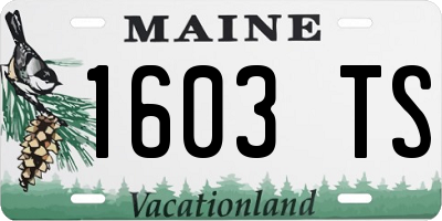 ME license plate 1603TS