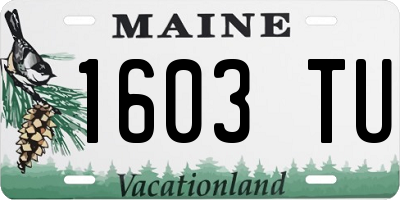 ME license plate 1603TU