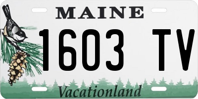 ME license plate 1603TV