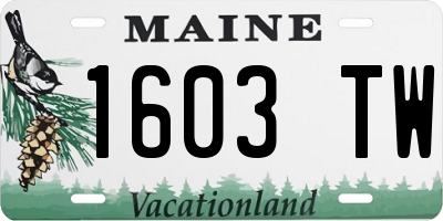 ME license plate 1603TW