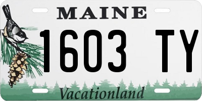 ME license plate 1603TY