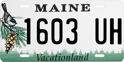 ME license plate 1603UH