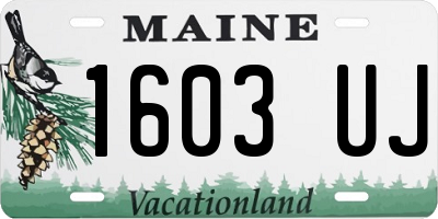 ME license plate 1603UJ