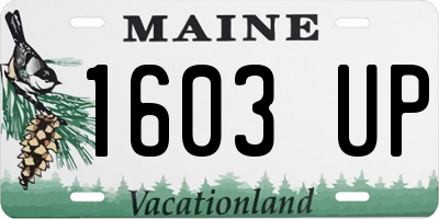 ME license plate 1603UP