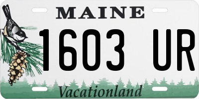 ME license plate 1603UR