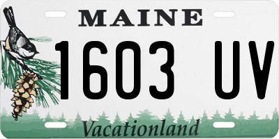 ME license plate 1603UV