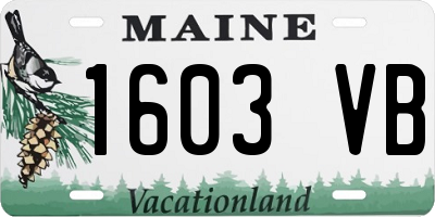 ME license plate 1603VB