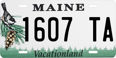 ME license plate 1607TA