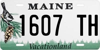 ME license plate 1607TH