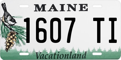 ME license plate 1607TI