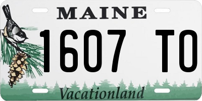 ME license plate 1607TO