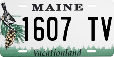 ME license plate 1607TV