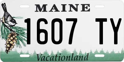ME license plate 1607TY
