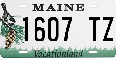 ME license plate 1607TZ