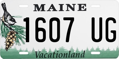 ME license plate 1607UG