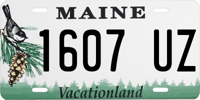 ME license plate 1607UZ