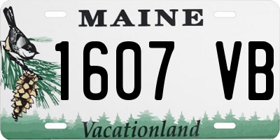 ME license plate 1607VB