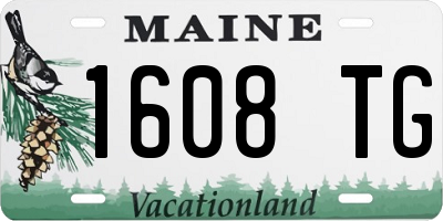 ME license plate 1608TG