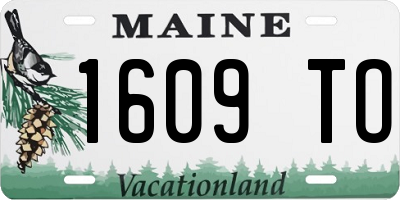 ME license plate 1609TO