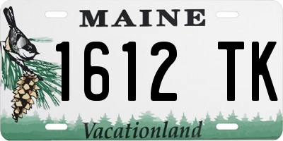 ME license plate 1612TK