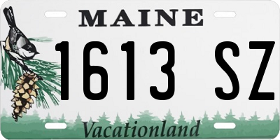 ME license plate 1613SZ
