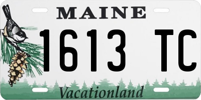 ME license plate 1613TC